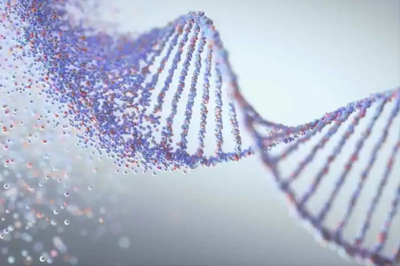 基因治療CDMO服務