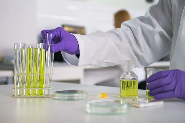 培養基配方開發服務