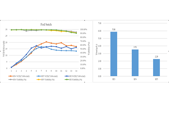 巖藻糖敲除宿主細胞株（CHO-K1-TGZ）在抗體藥物生產(chǎn)的應用
